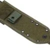 ESEE MOLLE-back Pour Model 3 & 4, 42MB-OD, OD-Green -Esee Knives EE ESEE 42MB OD 01 esee knives ee esee 42mb od 01